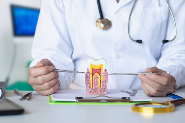 Best Emergency Denture Repair in League City, TX